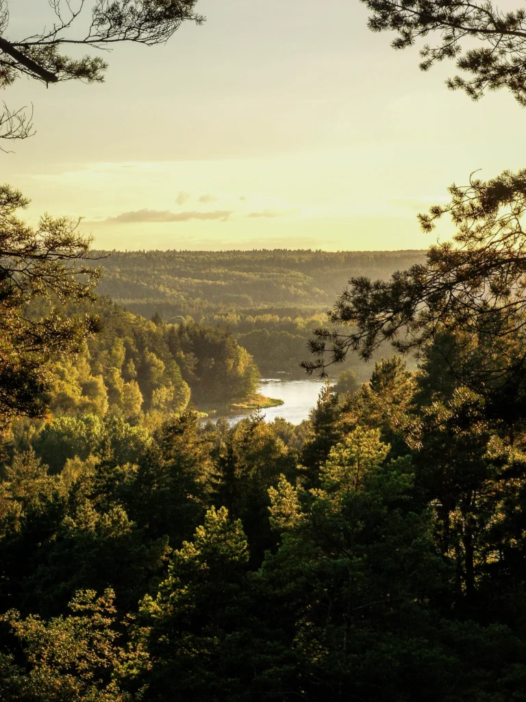 ignalina moduliniai namai ignalinoje monamai lt risbs 1